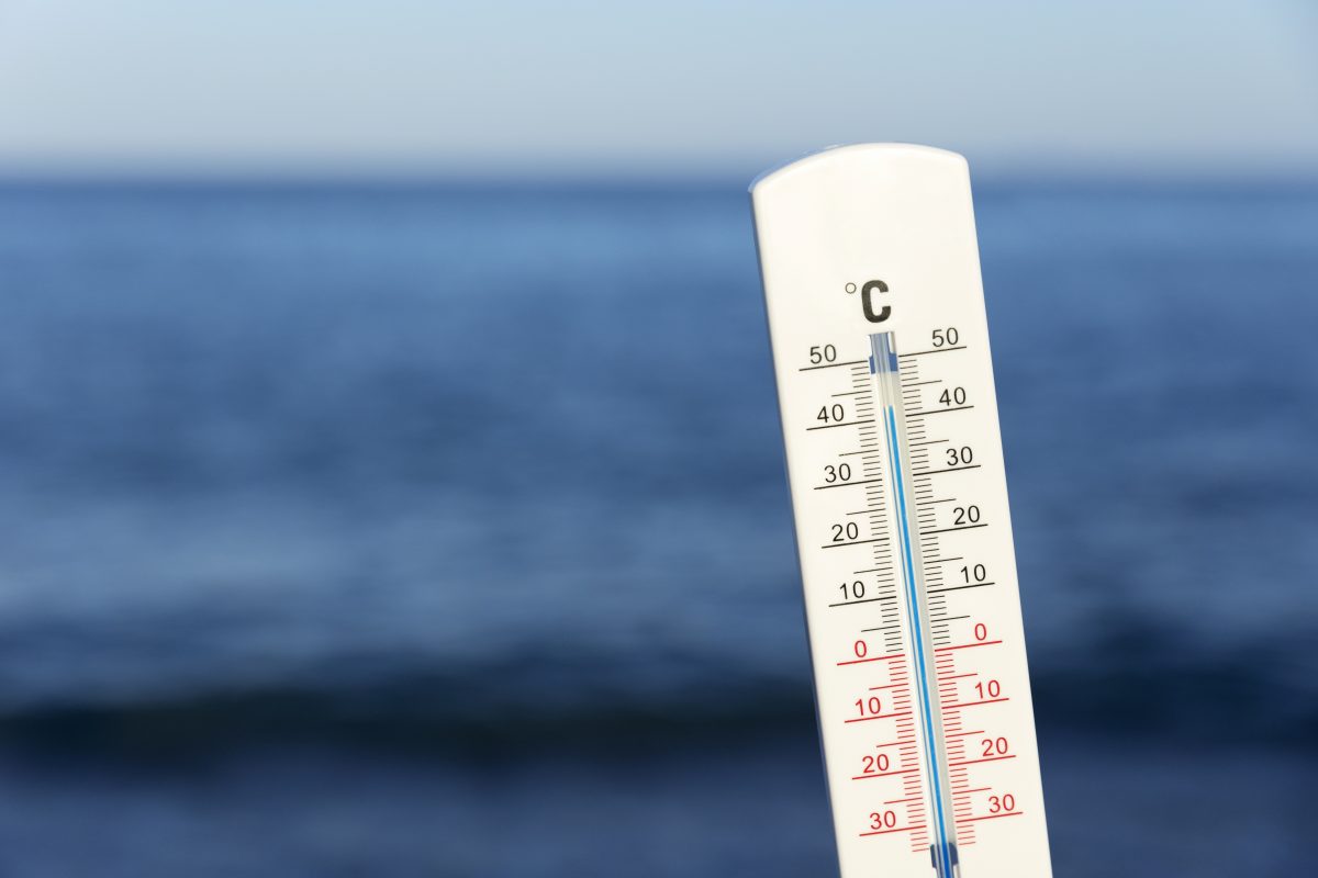 Consejos para combatir una ola de calor