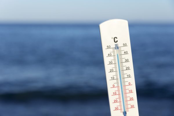 Consejos para combatir una ola de calor