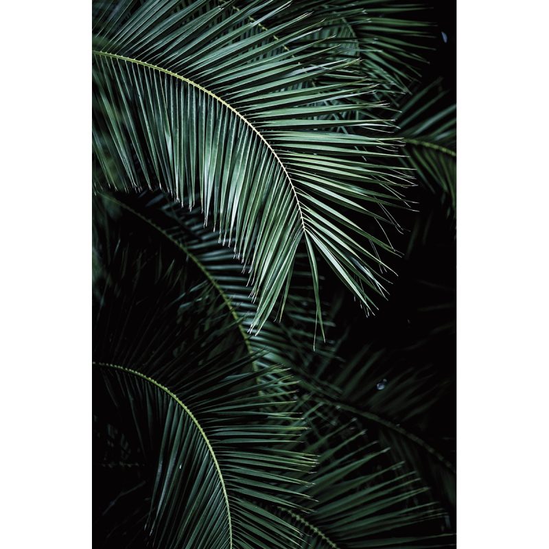 Rasch – Fotomural Palm Rasch.
